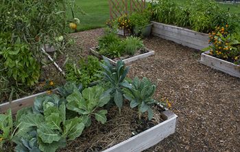 Community garden